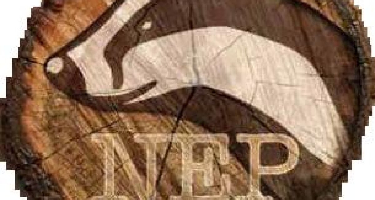 Ein Dachs-Logo auf einer Holzscheibe mit den Buchstaben 'NEP' darunter. Der Dachs ist stilisiert und in dunklen Farben gehalten., © Christian Bemmann, Lokale AGENDA 21 Magstadt, Arbeitskreis Natur und Umwelt Ein Dachs-Logo auf einer Holzscheibe mit den Buchstaben 'NEP' darunter. Der Dachs ist stilisiert und in dunklen Farben gehalten., © Christian Bemmann, Lokale AGENDA 21 Magstadt, Arbeitskreis Natur und Umwelt