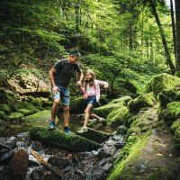 Unterwegs durch das Monbachtal, © Freizeit & Tourismus Bad Liebenzell GmbH Unterwegs durch das Monbachtal, © Freizeit & Tourismus Bad Liebenzell GmbH