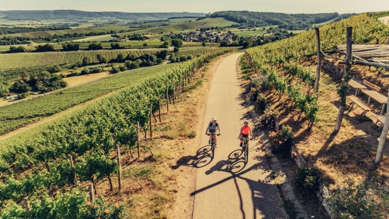Weinsüden Weinort Brackenheim am Württemberger Weinradweg | HeilbronnerLand, © Touristikgemeinschaft HeilbronnerLand Weinsüden Weinort Brackenheim am Württemberger Weinradweg | HeilbronnerLand, © Touristikgemeinschaft HeilbronnerLand