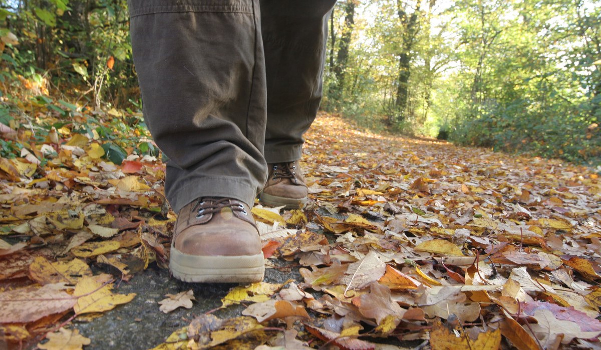 Nahaufnahme von Wanderschuhen auf einem mit bunten Herbstblättern bedeckten Waldweg. Die Umgebung ist grün und herbstlich., © Stadt Schorndorf