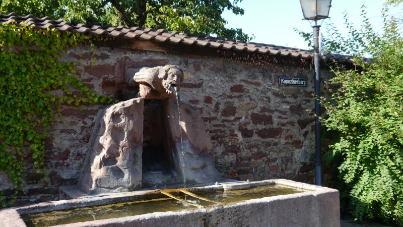 Steinbrunnen mit Wasserspeier und Trog vor einer Mauer, Laterne und Schild 'Kapuzinerberg'. Umgeben von Pflanzen und Bäumen., © Natur.Nah. Schönbuch & Heckengäu