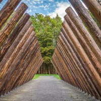 Holzstämme sind schräg aufgestellt und bilden einen Tunnel, der zu einem Wald führt. Der Himmel ist leicht bewölkt., © agentur arcos/Niki Eilers