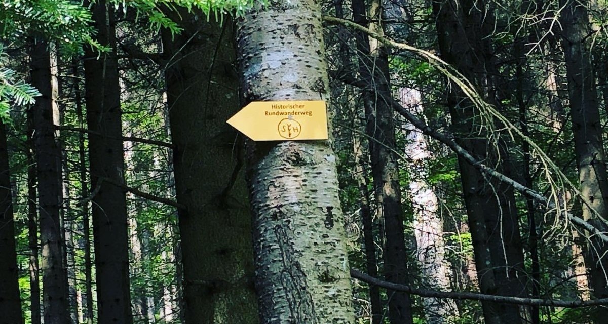 Ein gelbes Schild mit der Aufschrift 'Historischer Rundwanderweg' hängt an einem Baum in einem dichten Wald., © Nördlicher Schwarzwald Ein gelbes Schild mit der Aufschrift 'Historischer Rundwanderweg' hängt an einem Baum in einem dichten Wald., © Nördlicher Schwarzwald