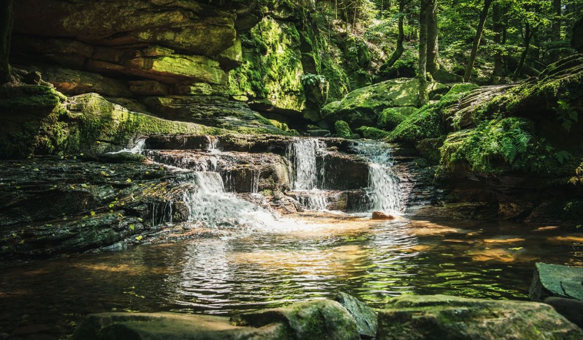 Idyllische Landschaft im Monbachtal, &copy; Freizeit & Tourismus Bad Liebenzell GmbH