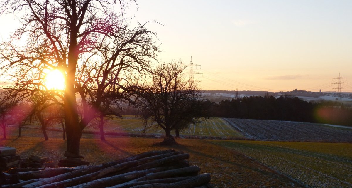 Sonnenuntergang über einem verschneiten Feld mit Bäumen und Holzstapeln im Vordergrund. Strommasten sind am Horizont sichtbar., © Land der 1000 Hügel - Kraichgau-Stromberg Sonnenuntergang über einem verschneiten Feld mit Bäumen und Holzstapeln im Vordergrund. Strommasten sind am Horizont sichtbar., © Land der 1000 Hügel - Kraichgau-Stromberg
