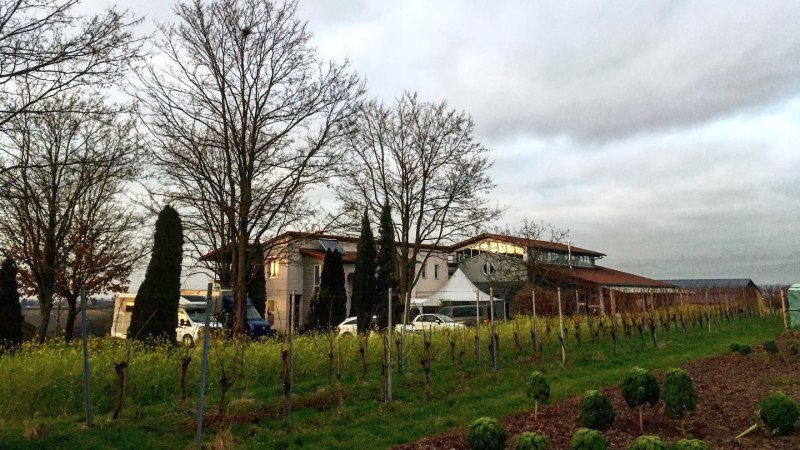 Weingut Häußer Hof mit kahlen Bäumen und Gebäuden im Hintergrund. Im Vordergrund sind Weinreben und ein grünes Feld zu sehen., © Weingut Häußer Weingut Häußer Hof mit kahlen Bäumen und Gebäuden im Hintergrund. Im Vordergrund sind Weinreben und ein grünes Feld zu sehen., © Weingut Häußer