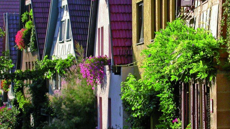 Reihe von Fachwerkhäusern in Marbach am Neckar, geschmückt mit üppigen, blühenden Pflanzen und bunten Dächern., © Dieter Sukowski Reihe von Fachwerkhäusern in Marbach am Neckar, geschmückt mit üppigen, blühenden Pflanzen und bunten Dächern., © Dieter Sukowski