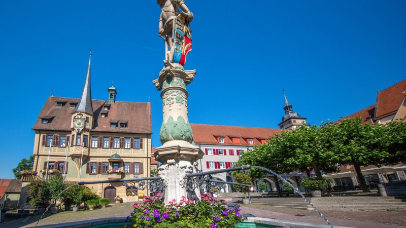 Brunnen mit Statue auf dem Marktplatz von Bietigheim-Bissingen, umgeben von historischen Geb&auml;uden und bl&uuml;henden Blumen, unter klarem, blauem Himmel.