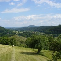 Grüne Wiesen und Bäume erstrecken sich über sanfte Hügel. Im Hintergrund sind bewaldete Hügel und ein blauer Himmel mit Wolken zu sehen., © Remstal Tourismus e.V.