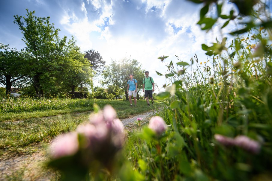 Zwei Menschen wandern auf einem Wiesenweg  in der Landschaft rund um Herrenberg, © Matthias Hangst