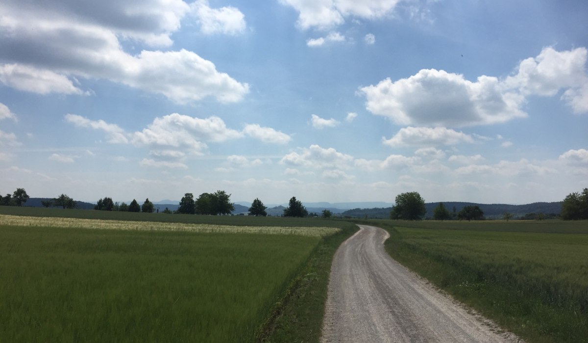 Ein schmaler Weg schlängelt sich durch grüne Felder unter einem Himmel mit weißen Wolken., © www.pro-cycl.de