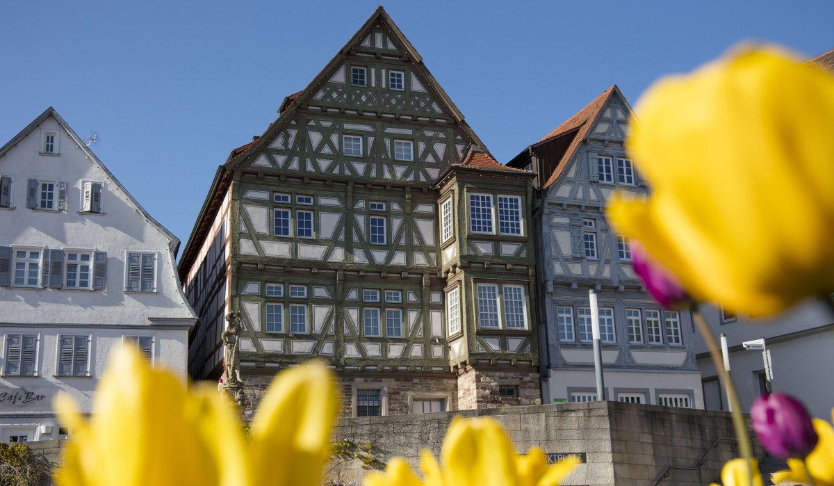 Fachwerkhäuser vor blauem Himmel, gelbe Tulpen im Vordergrund. Historische Architektur und Frühlingsblumen in harmonischer Komposition., © Stuttgart Marketing GmbH Achim Mende Fachwerkhäuser vor blauem Himmel, gelbe Tulpen im Vordergrund. Historische Architektur und Frühlingsblumen in harmonischer Komposition., © Stuttgart Marketing GmbH Achim Mende