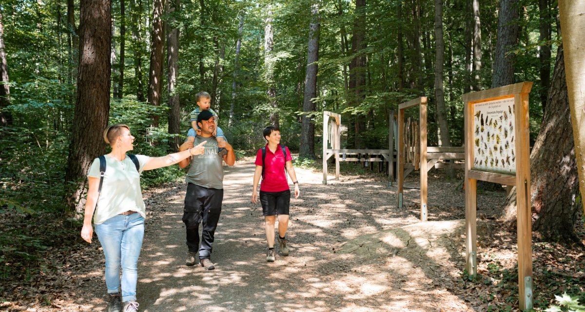 Familienausflug im Wald: Vier Personen, darunter ein Kind auf den Schultern, spazieren auf einem Waldweg mit Informationstafeln., &copy; Stadtmarketing Weil der Stadt
