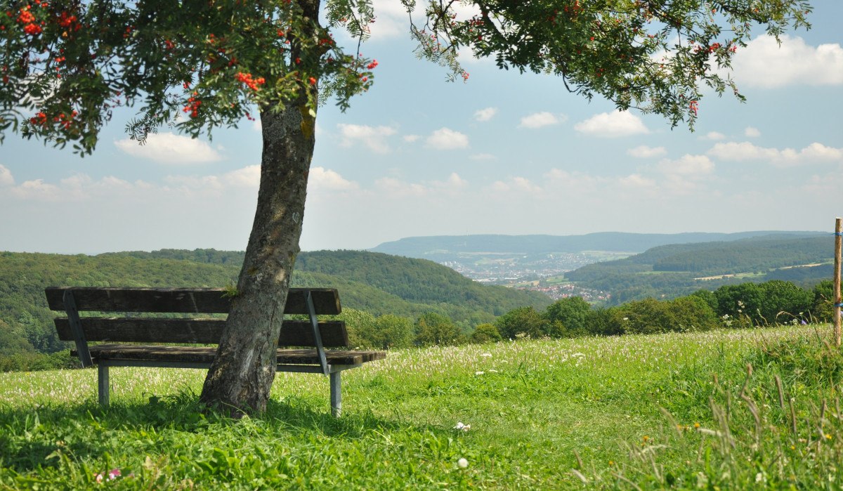 Eine Bank steht unter einem Baum mit roten Beeren, mit Blick auf eine weite, grüne Landschaft und einen entfernten Ort am Horizont., © Foto: Cornelia Steinbach Eine Bank steht unter einem Baum mit roten Beeren, mit Blick auf eine weite, grüne Landschaft und einen entfernten Ort am Horizont., © Foto: Cornelia Steinbach