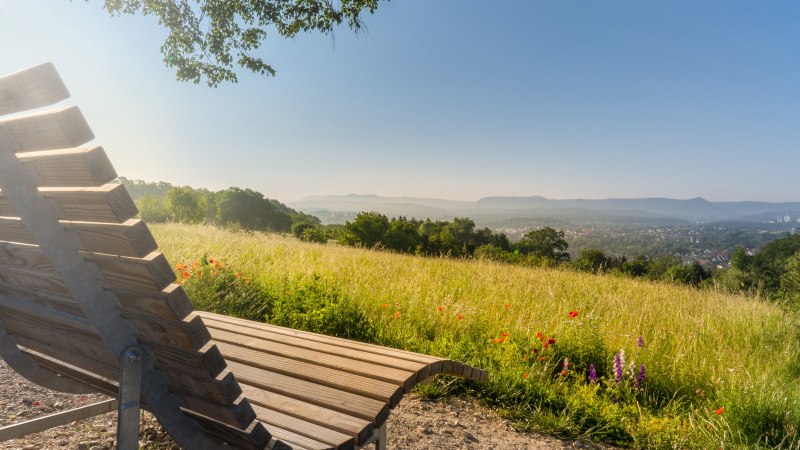 Holzliege auf einer Wiese mit Blick auf eine Stadt in der Ferne. Der Himmel ist klar und die Landschaft gr&uuml;n und bl&uuml;hend., &copy; SMG, Martina Denker