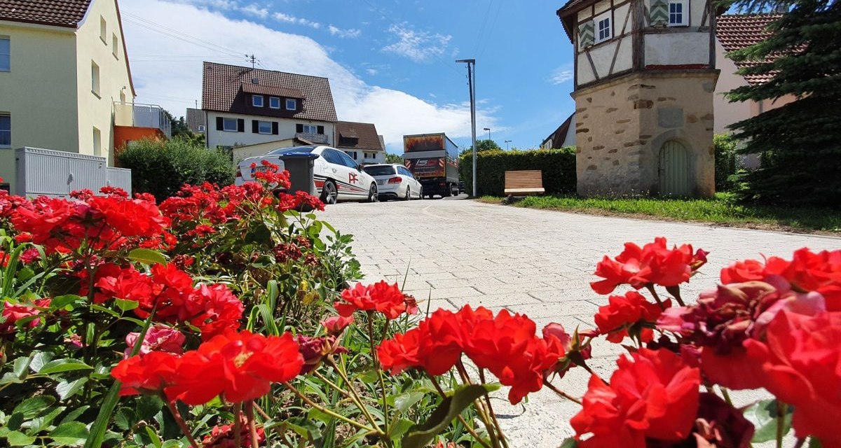 Rote Blumen im Vordergrund, Fachwerkhaus und Wohnhäuser im Hintergrund unter blauem Himmel. Rote Blumen im Vordergrund, Fachwerkhaus und Wohnhäuser im Hintergrund unter blauem Himmel.