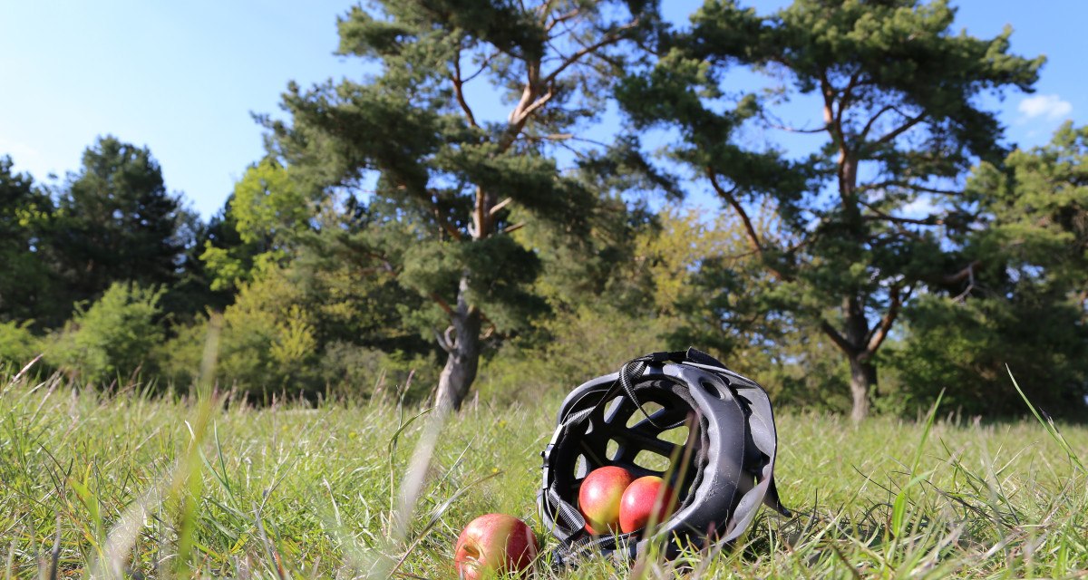 Fahrradhelm mit Äpfeln auf einer Wiese, umgeben von Bäumen und blauem Himmel., © Natur.Nah. Schönbuch & Heckengäu Fahrradhelm mit Äpfeln auf einer Wiese, umgeben von Bäumen und blauem Himmel., © Natur.Nah. Schönbuch & Heckengäu