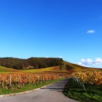 Weinberge, © Land der 1000 Hügel - Kraichgau-Stromberg