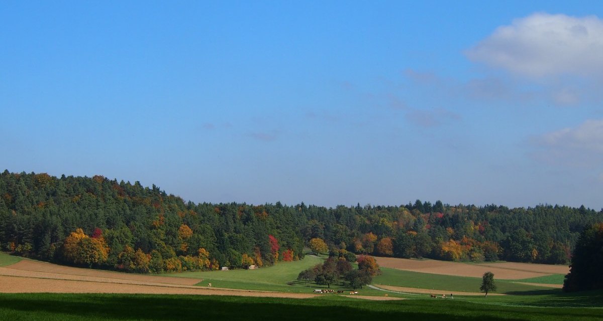 das H&uuml;lsental, &copy; Natur.Nah. Sch&ouml;nbuch & Heckeng&auml;u