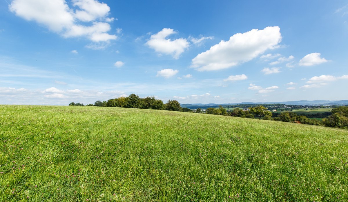 Weite grüne Wiese unter einem klaren blauen Himmel mit vereinzelten weißen Wolken. Im Hintergrund sind Bäume und Hügel zu sehen., © Landkreis Göppingen Weite grüne Wiese unter einem klaren blauen Himmel mit vereinzelten weißen Wolken. Im Hintergrund sind Bäume und Hügel zu sehen., © Landkreis Göppingen