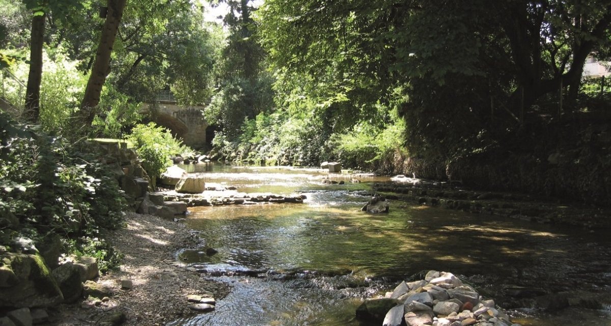 Ein kleiner Fluss fließt durch einen bewaldeten Bereich, umgeben von Bäumen und Steinen. Sonnenlicht fällt durch das Blätterdach., © Stadt kirchheim unter Teck Ein kleiner Fluss fließt durch einen bewaldeten Bereich, umgeben von Bäumen und Steinen. Sonnenlicht fällt durch das Blätterdach., © Stadt kirchheim unter Teck