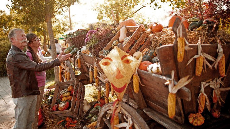 Ein älteres Paar betrachtet einen herbstlich geschmückten Wagen mit Kürbissen, Maiskolben und Stroh. Die Szene ist in warmes Sonnenlicht getaucht., © Erlebnispark Tripsdrill