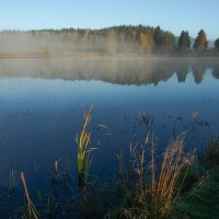 Ein stiller See im Naturschutzgebiet Weiherwiesen, umgeben von Bäumen und Gräsern. Der Morgennebel schwebt über dem Wasser., © Gemeinde Essingen Ein stiller See im Naturschutzgebiet Weiherwiesen, umgeben von Bäumen und Gräsern. Der Morgennebel schwebt über dem Wasser., © Gemeinde Essingen