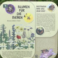 Ein Schild informiert &uuml;ber bienenfreundliche Pflanzen und Best&auml;ubung. Es zeigt Illustrationen von Blumen und Bienen sowie Tipps f&uuml;r einen bienenfreundlichen Garten., &copy; Natur.Nah. Sch&ouml;nbuch & Heckeng&auml;u