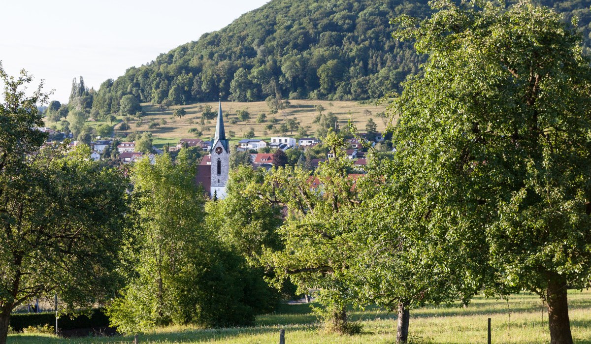 Blick auf Gönningen mit einer Kirche im Vordergrund, umgeben von Bäumen und einem bewaldeten Hügel im Hintergrund., © hochgehberge