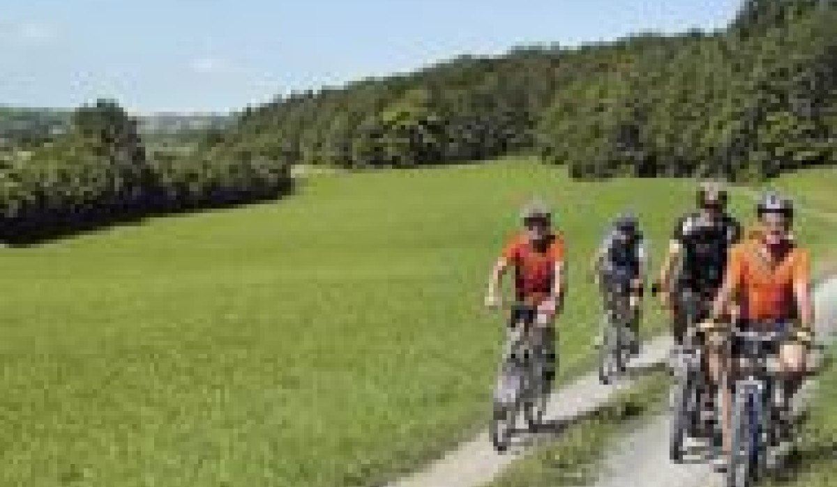 Vier Radfahrer fahren auf einem schmalen Weg durch eine grüne Wiese, umgeben von Bäumen und Hügeln unter blauem Himmel., © http://www.sindelfingen.org/files/sub_nahtourradweg.jpg