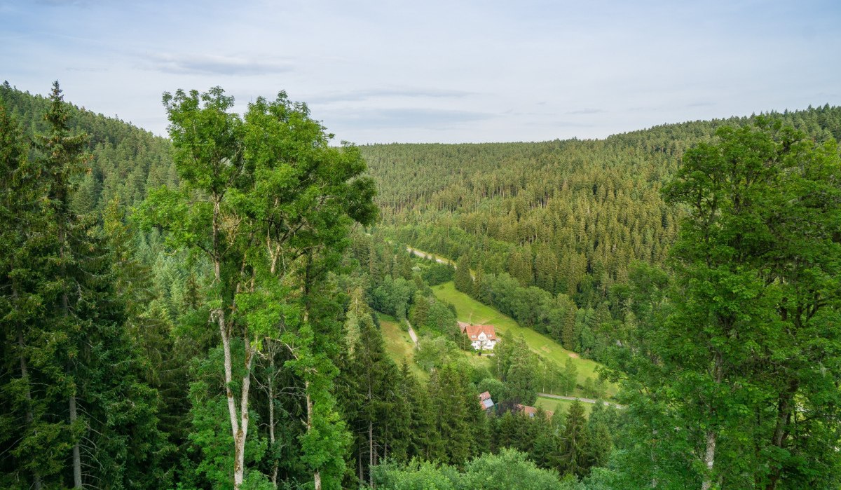 Grünes Tal mit dichtem Wald, einem Haus mit rotem Dach in der Mitte und einem klaren Himmel im Hintergrund., © Nördlicher Schwarzwald Grünes Tal mit dichtem Wald, einem Haus mit rotem Dach in der Mitte und einem klaren Himmel im Hintergrund., © Nördlicher Schwarzwald