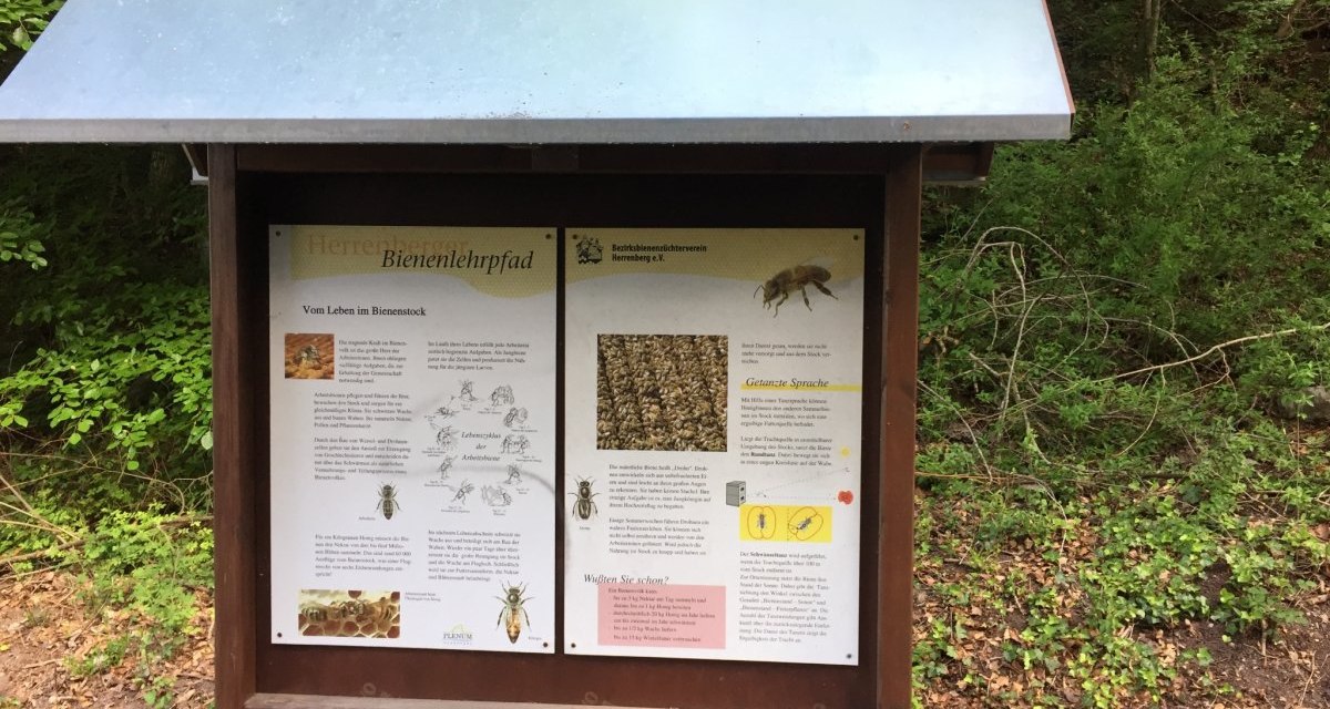 Ein Informationsschild am Bienenlehrpfad im Wald erklärt das Leben im Bienenstock und die Kommunikation der Bienen., © www.pro-cycl.de Ein Informationsschild am Bienenlehrpfad im Wald erklärt das Leben im Bienenstock und die Kommunikation der Bienen., © www.pro-cycl.de
