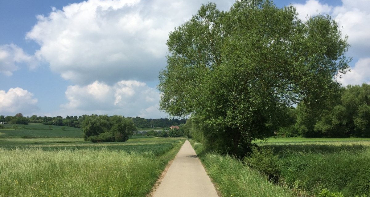 Ein asphaltierter Radweg verläuft durch eine grüne Landschaft mit Bäumen und Wiesen. Der Himmel ist blau mit weißen Wolken., © www.pro-cycl.de Ein asphaltierter Radweg verläuft durch eine grüne Landschaft mit Bäumen und Wiesen. Der Himmel ist blau mit weißen Wolken., © www.pro-cycl.de