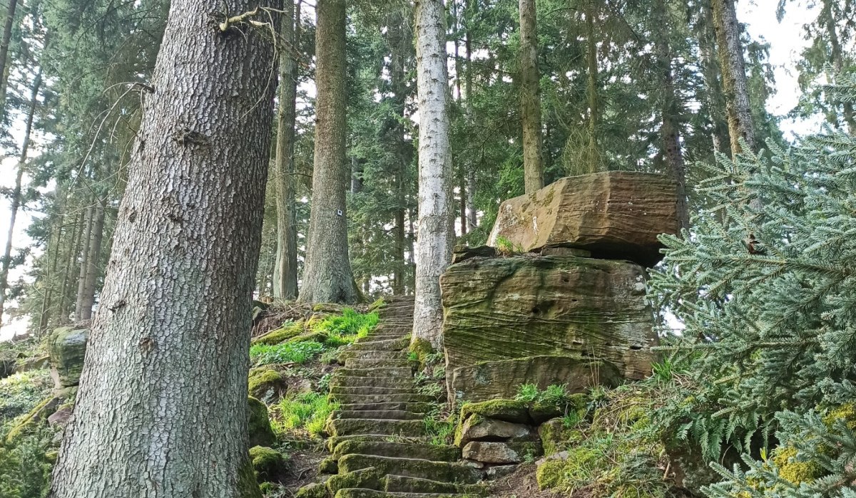Die Mathildenstaffeln f&uuml;hren steil bergab nach Bad Teinach, &copy; N&ouml;rdlicher Schwarzwald