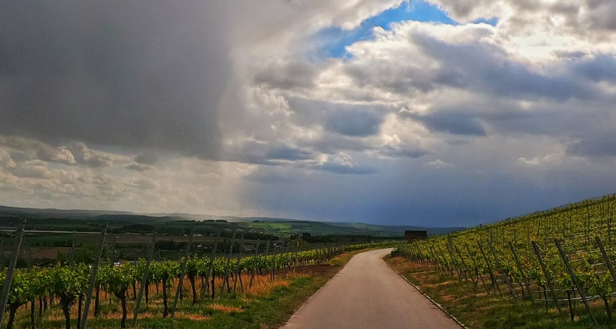 Eine schmale Straße führt durch Weinberge, während dramatische Wolken den Himmel bedecken. Ein blauer Himmel ist im Hintergrund sichtbar., © Land der 1000 Hügel - Kraichgau-Stromberg Eine schmale Straße führt durch Weinberge, während dramatische Wolken den Himmel bedecken. Ein blauer Himmel ist im Hintergrund sichtbar., © Land der 1000 Hügel - Kraichgau-Stromberg
