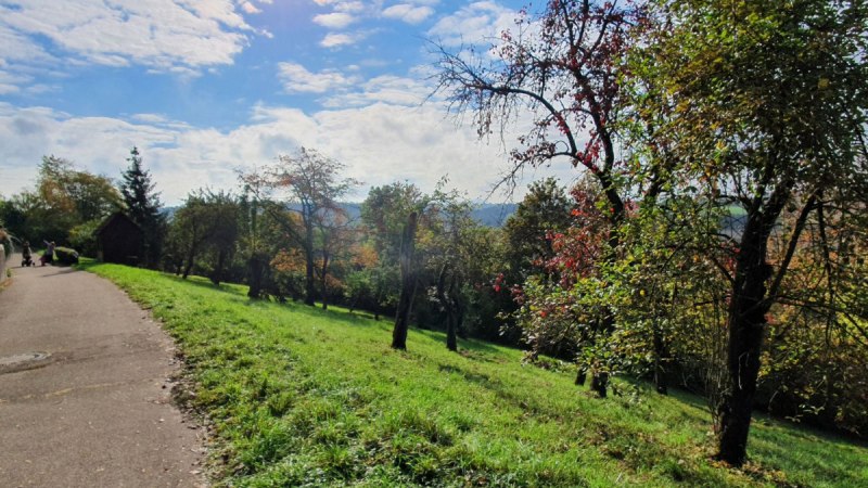 Ein sonniger Herbsttag mit blauem Himmel, B&auml;umen mit buntem Laub und einem Weg, der durch die Landschaft f&uuml;hrt., &copy; Kulturamt PLochingen