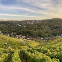 Weinberge erstrecken sich über sanfte Hügel, ein Dorf liegt eingebettet in die grüne Landschaft. Der Himmel ist leicht bewölkt, die Sonne geht unter., © Weingärtnergenossenschaft Hedelfingen