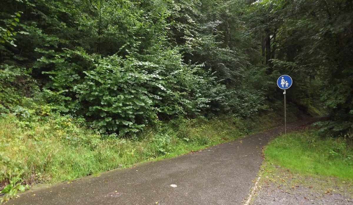 Ein schmaler, asphaltierter Weg führt durch einen grünen Wald. Ein blaues Fußgängerweg-Schild steht am Rand., © Natur.Nah. Schönbuch & Heckengäu Ein schmaler, asphaltierter Weg führt durch einen grünen Wald. Ein blaues Fußgängerweg-Schild steht am Rand., © Natur.Nah. Schönbuch & Heckengäu