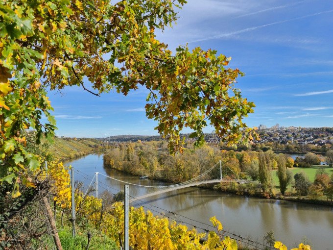 Eine malerische Landschaft mit einer H&auml;ngebr&uuml;cke &uuml;ber einen Fluss, umgeben von herbstlichen B&auml;umen und Weinbergen. Im Hintergrund ist eine Stadt zu sehen., &copy; Cool-Tours StattReisen