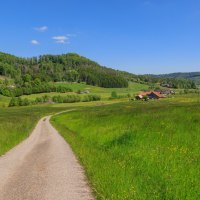 Murrhardter Genusstour mit Pferdestärken, © Stadt Murrhardt