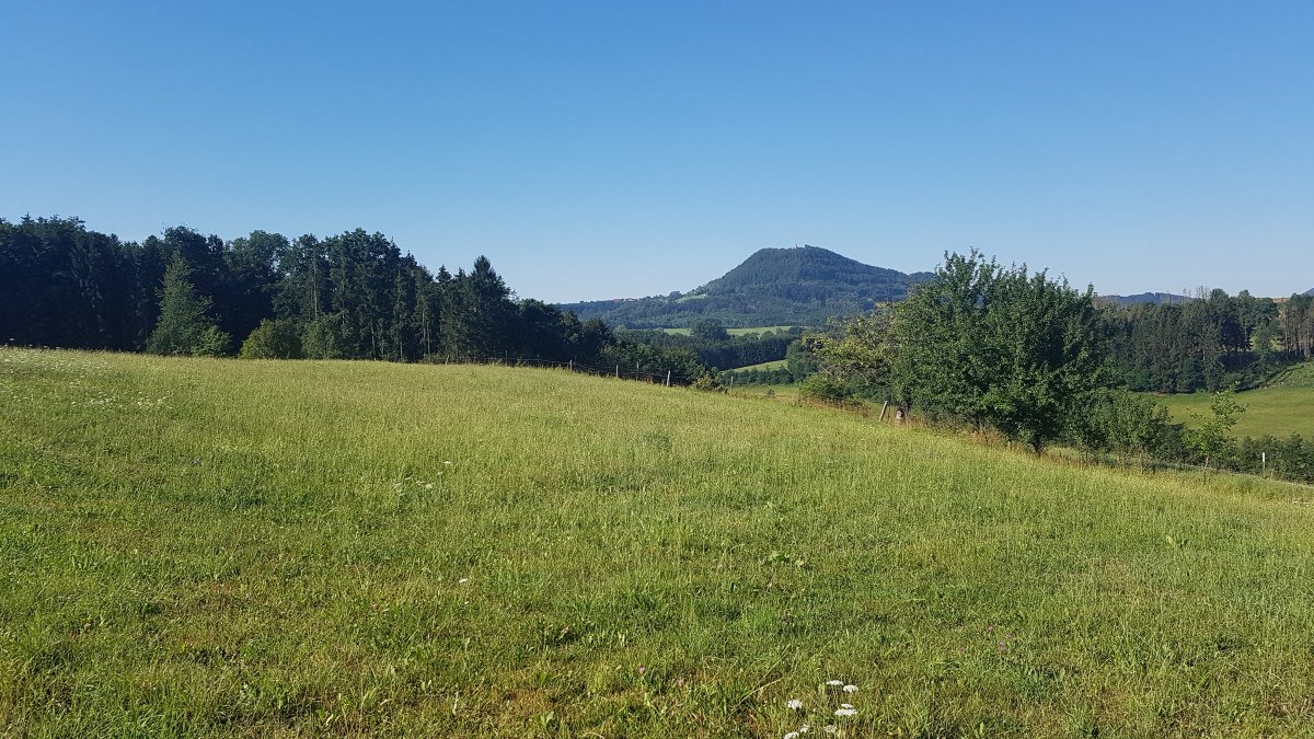 Gr&uuml;ne Wiese mit Blick auf den bewaldeten Hohenrechberg. Der Himmel ist klar und blau, umgeben von B&auml;umen und sanften H&uuml;geln.