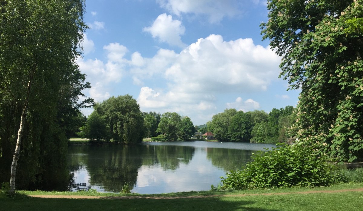 Ein idyllischer See in Tübingen, umgeben von üppigem Grün und Bäumen, mit einem klaren Himmel und weißen Wolken., © www.pro-cycl.de Ein idyllischer See in Tübingen, umgeben von üppigem Grün und Bäumen, mit einem klaren Himmel und weißen Wolken., © www.pro-cycl.de