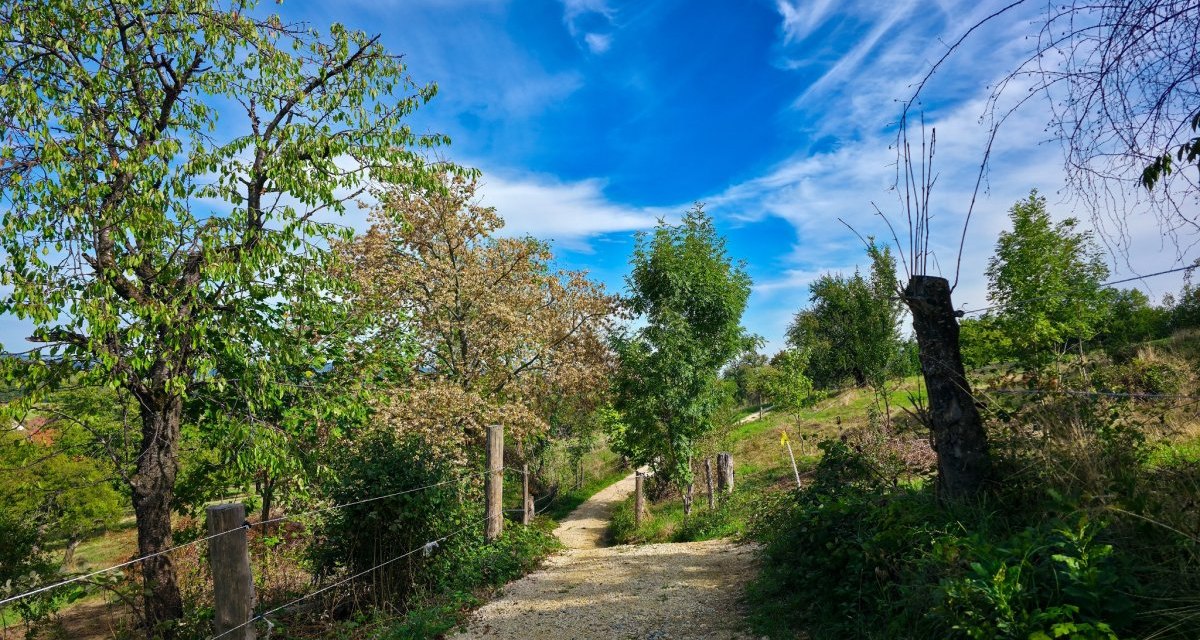 Michael-H&ouml;rauf-Weg Eckw&auml;lden, &copy; Landkreis G&ouml;ppingen