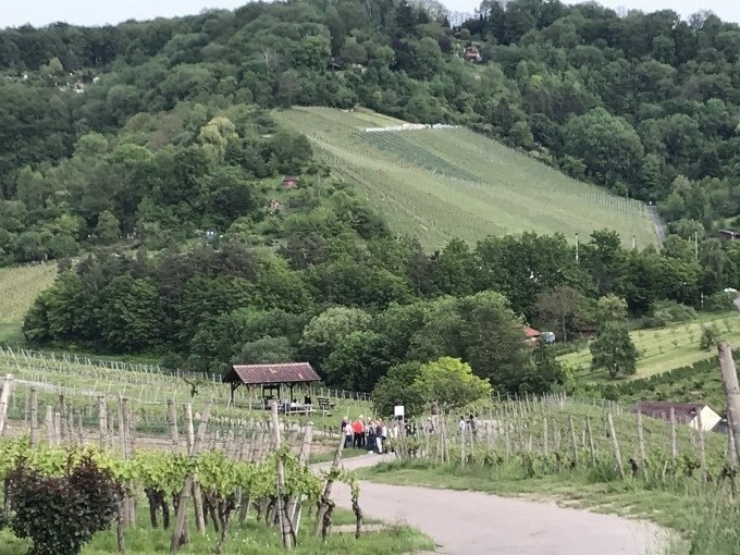 After Work Wein Walk Stuttgart, &copy; Weingenuss Stuttgart