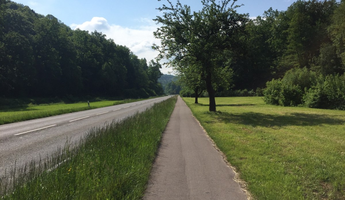 Ein gerader Radweg verläuft parallel zu einer Landstraße, umgeben von grünen Wiesen und Bäumen. Der Himmel ist blau mit wenigen Wolken., © www.pro-cycl.de Ein gerader Radweg verläuft parallel zu einer Landstraße, umgeben von grünen Wiesen und Bäumen. Der Himmel ist blau mit wenigen Wolken., © www.pro-cycl.de