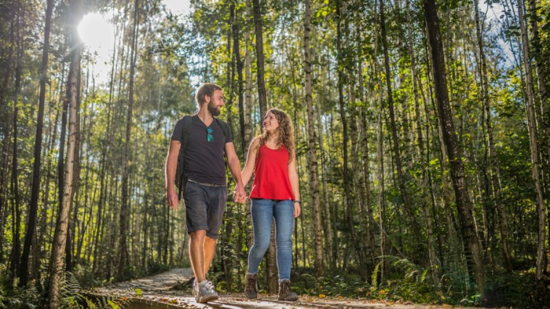Ein Paar h&auml;lt H&auml;ndchen und spaziert auf einem Holzweg im Wald. Sonnenlicht f&auml;llt durch die B&auml;ume und schafft eine idyllische Atmosph&auml;re., &copy; Jan B&uuml;rgermeister, Landkreis G&ouml;ppingen