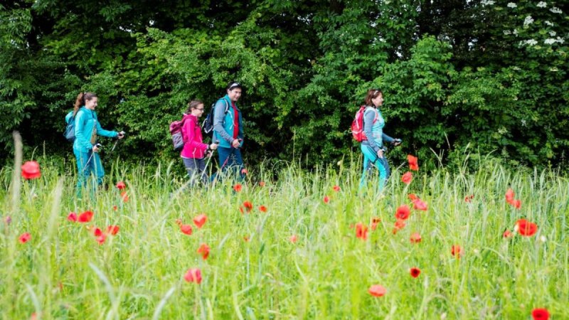 Vier Wanderer in bunter Kleidung gehen über eine blühende Wiese mit roten Blumen, im Hintergrund dichter Wald., © Stadt Kirchheim unter Teck; Torsten Wenzler