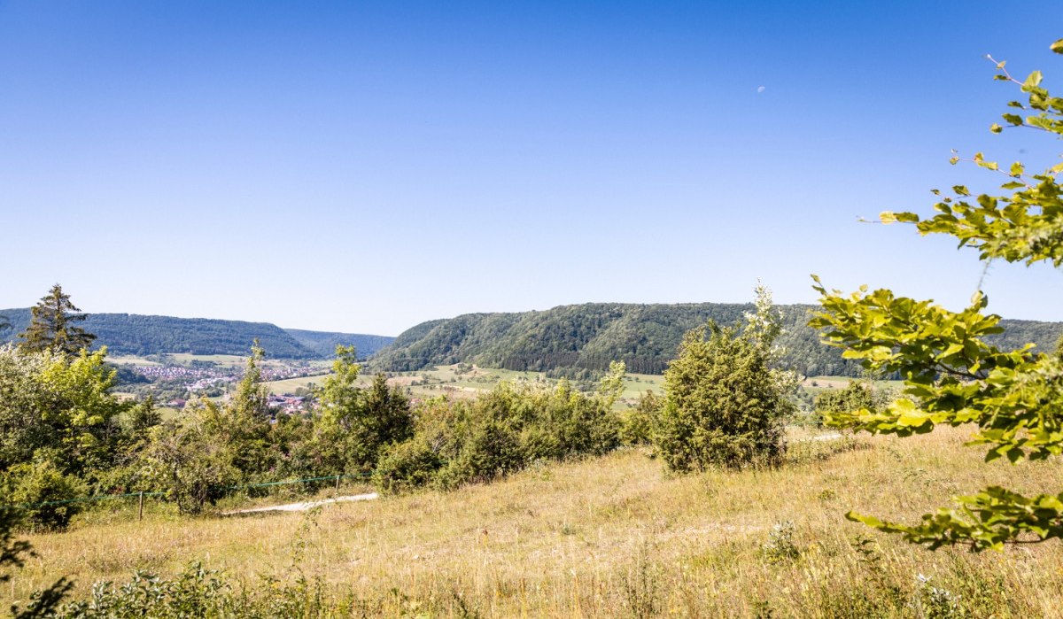 Blick auf Deggingen mit grünen Hügeln und Bäumen unter klarem Himmel. Im Vordergrund eine Wiese, im Hintergrund das Dorf und bewaldete Hügel., © TMBW Blick auf Deggingen mit grünen Hügeln und Bäumen unter klarem Himmel. Im Vordergrund eine Wiese, im Hintergrund das Dorf und bewaldete Hügel., © TMBW