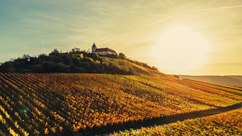 Michaelsberg im herbstlichen Sonnenlicht, © Touristikgemeinschaft HeilbronnerLand e.V. Michaelsberg im herbstlichen Sonnenlicht, © Touristikgemeinschaft HeilbronnerLand e.V.