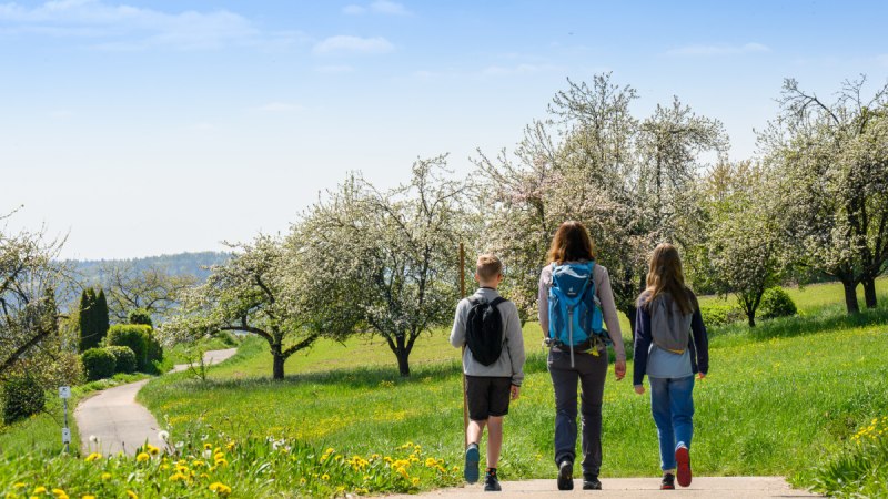Drei Personen mit Rucksäcken wandern auf einem Weg durch eine grüne, blühende Landschaft mit Bäumen unter blauem Himmel., © Stadtverwaltung Winnenden